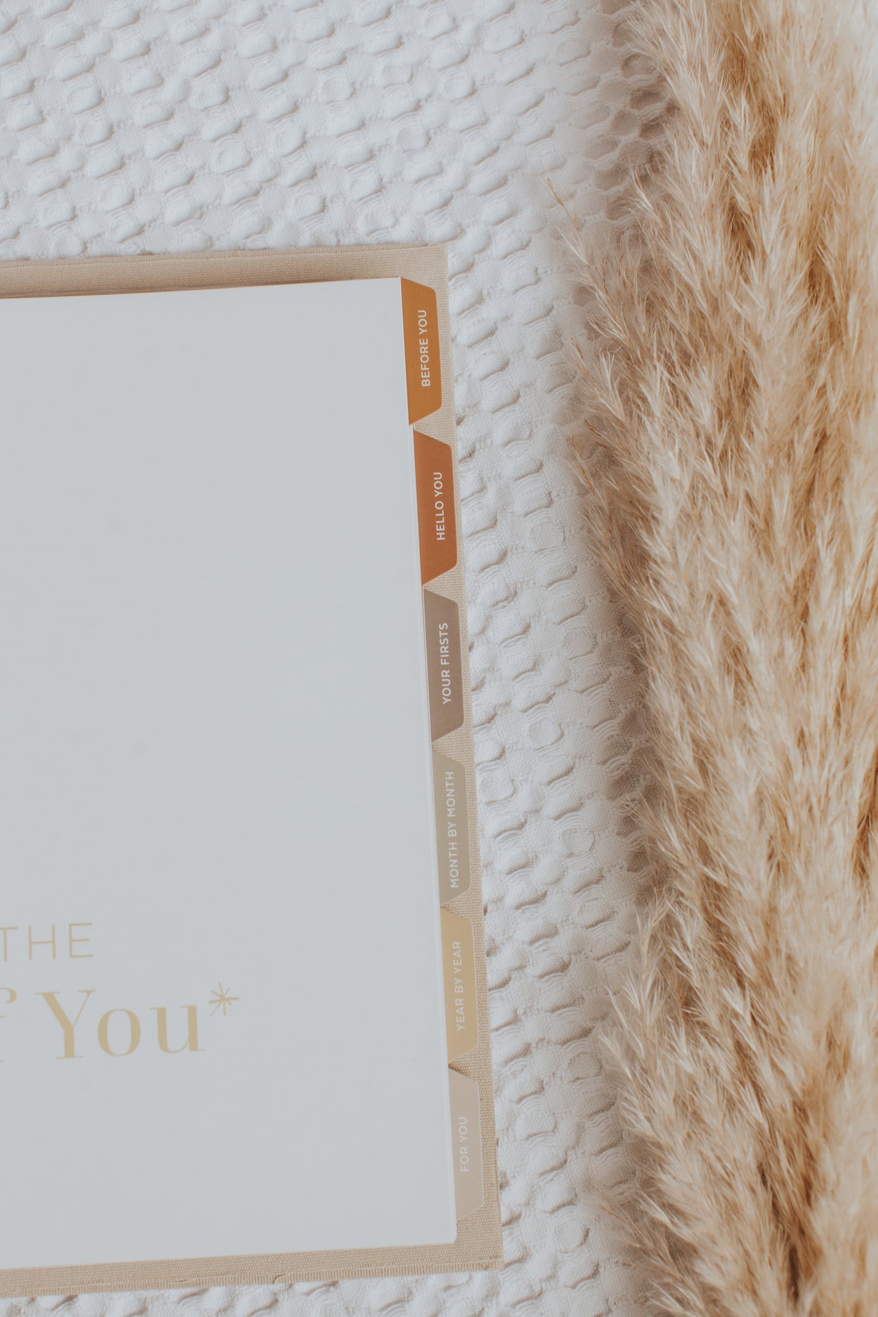 Baby Book | This Is The Story Of You